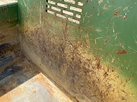 2019 record p33t dumper - afbeelding 21 van  36